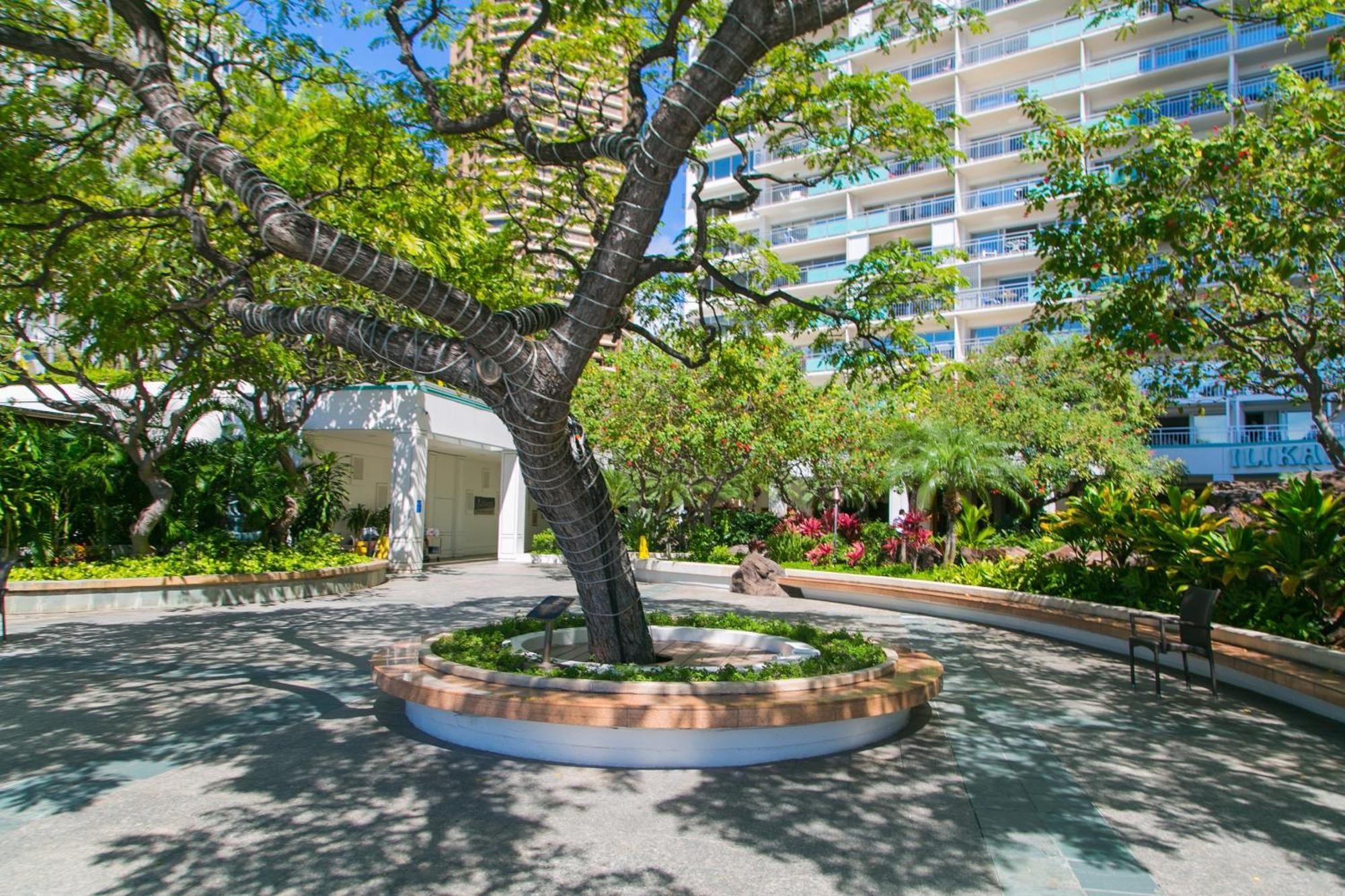 Ilikai Tower 1403 City View 1Br Honolulu Buitenkant foto